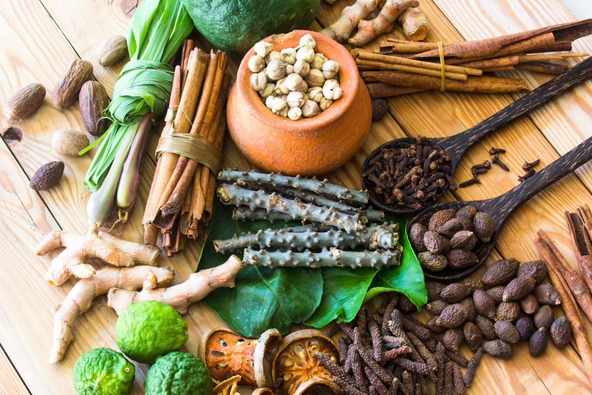 Wellness Spa Treatment